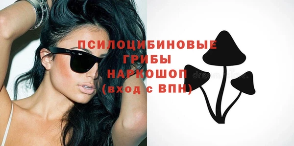 меф Горняк