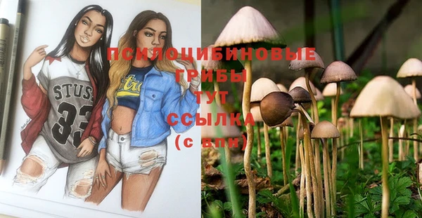 меф Горняк