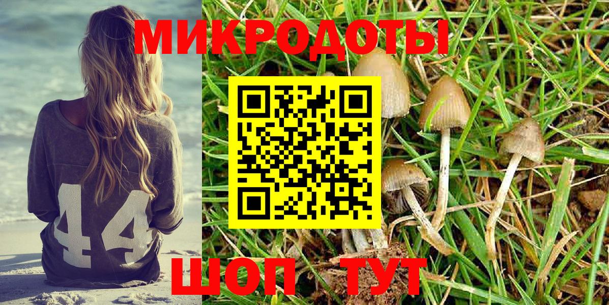Псилоцибиновые грибы Magic Shrooms Наро-Фоминск