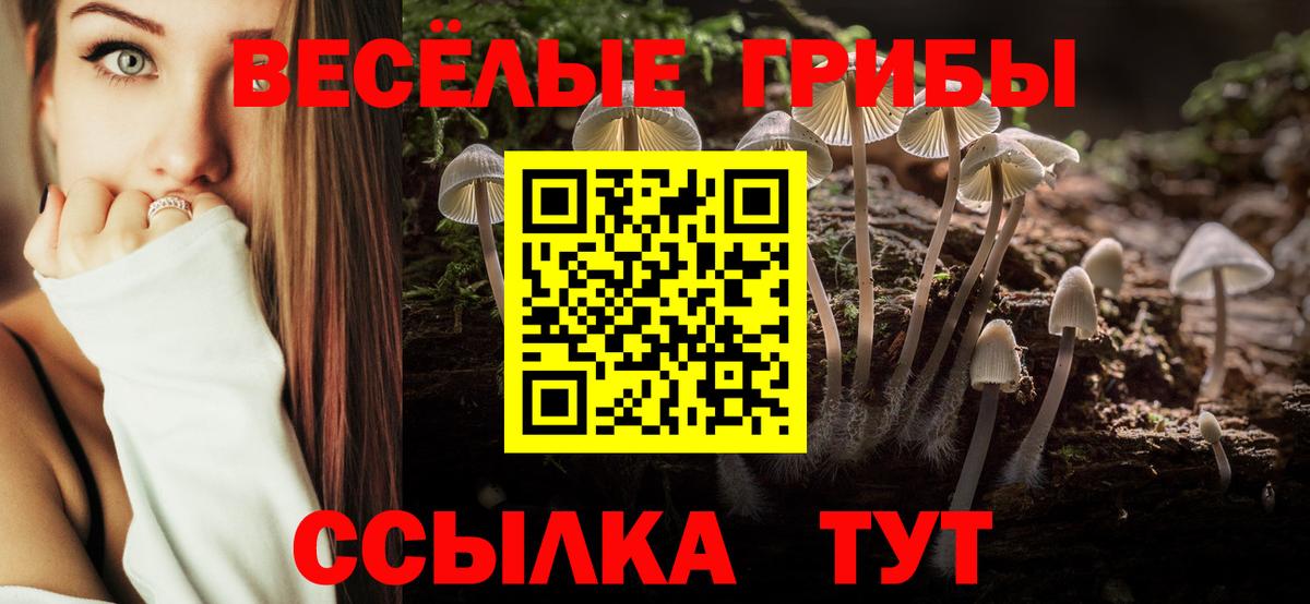 Галлюциногенные грибы Magic Shrooms Наро-Фоминск